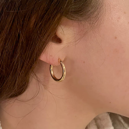 Solid Gold Domed Hoop Earrings