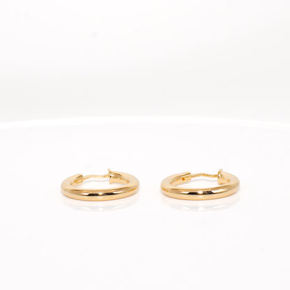 Solid Gold Domed Hoop Earrings