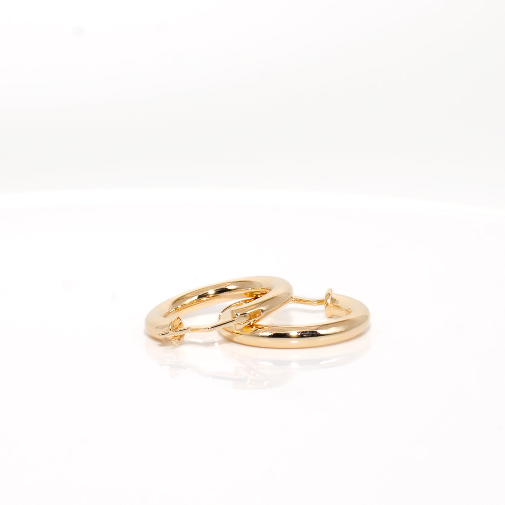Solid Gold Domed Hoop Earrings